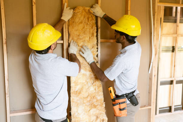 Best Cellulose Insulation  in Malta, MT