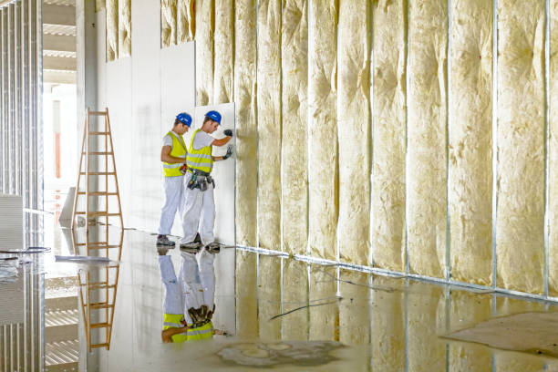 Best Garage Insulation Installation  in Malta, MT